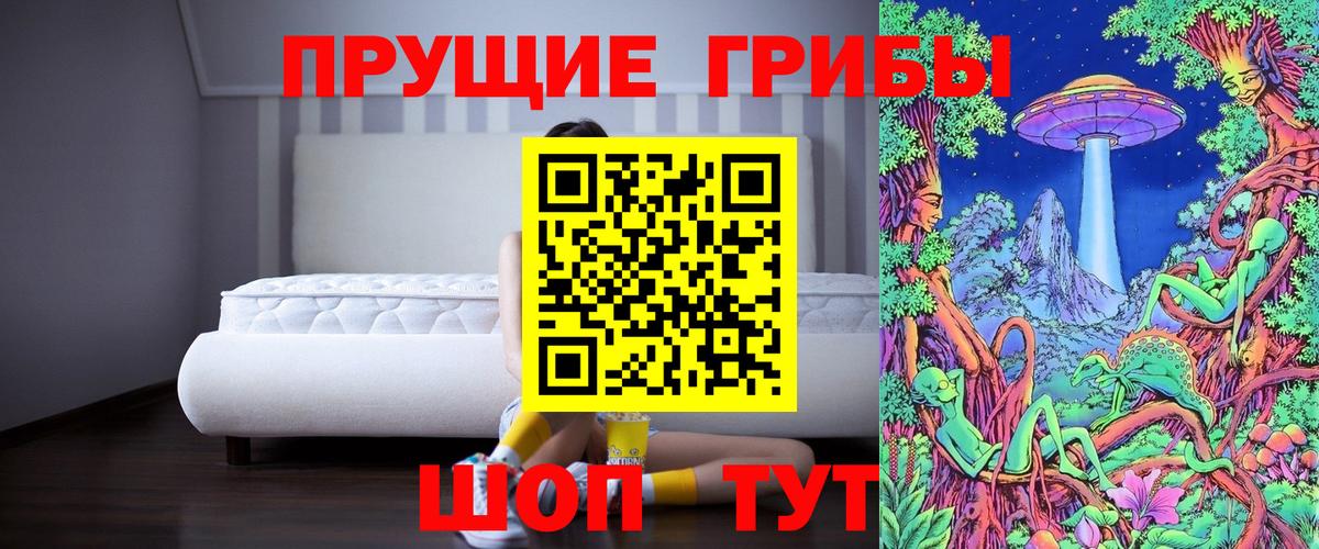 Галлюциногенные грибы Psilocybe  Вход с VPN  что такое наркотик  Череповец 